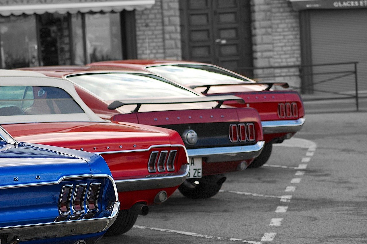 RALLY MUSTANG AND CO
